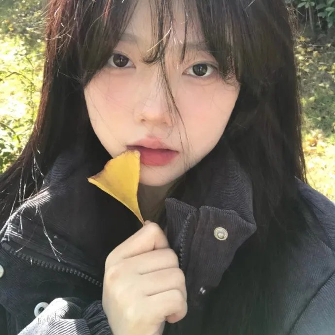 谍网寻凶